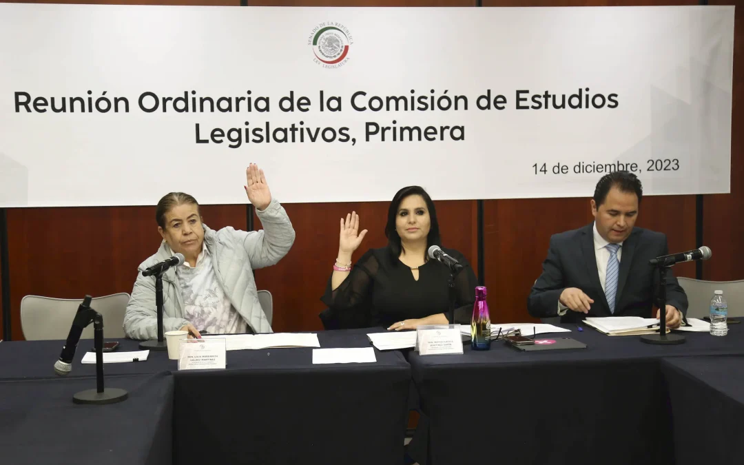 Comisión del Senado aprueba reformas para garantizar derechos de policías