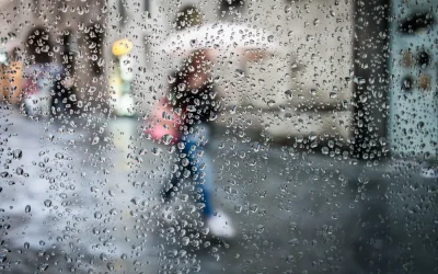 Senado impulsa proyecto para captación de agua pluvial en inmuebles del sector público