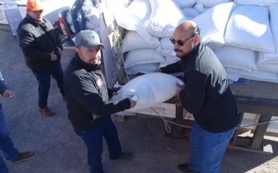 El municipio de Temósachic, Chihuahua, recibe paquetes alimentarios de apoyo por la sequía