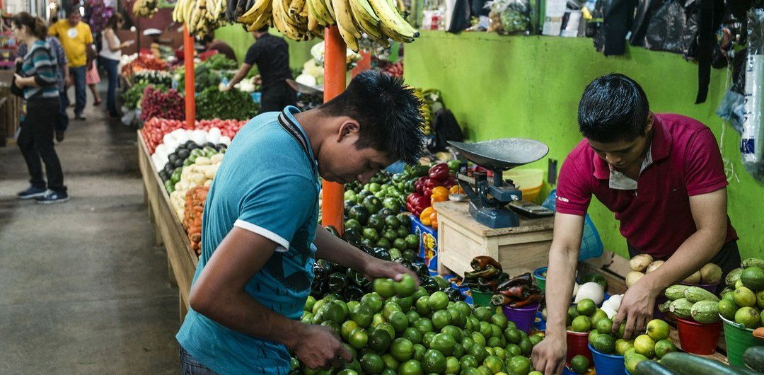 Naciones de AL conforman red para transformar sistemas alimentarios y mejor nutrición