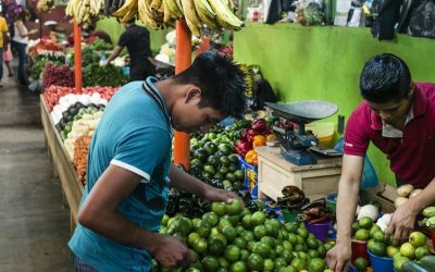 Naciones de AL conforman red para transformar sistemas alimentarios y mejor nutrición