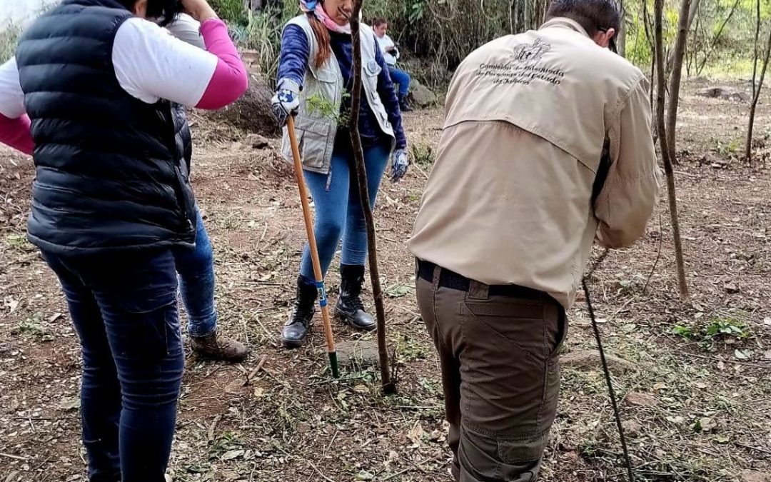 Comisión de Búsqueda participa en operativo en Autlán de Navarro
