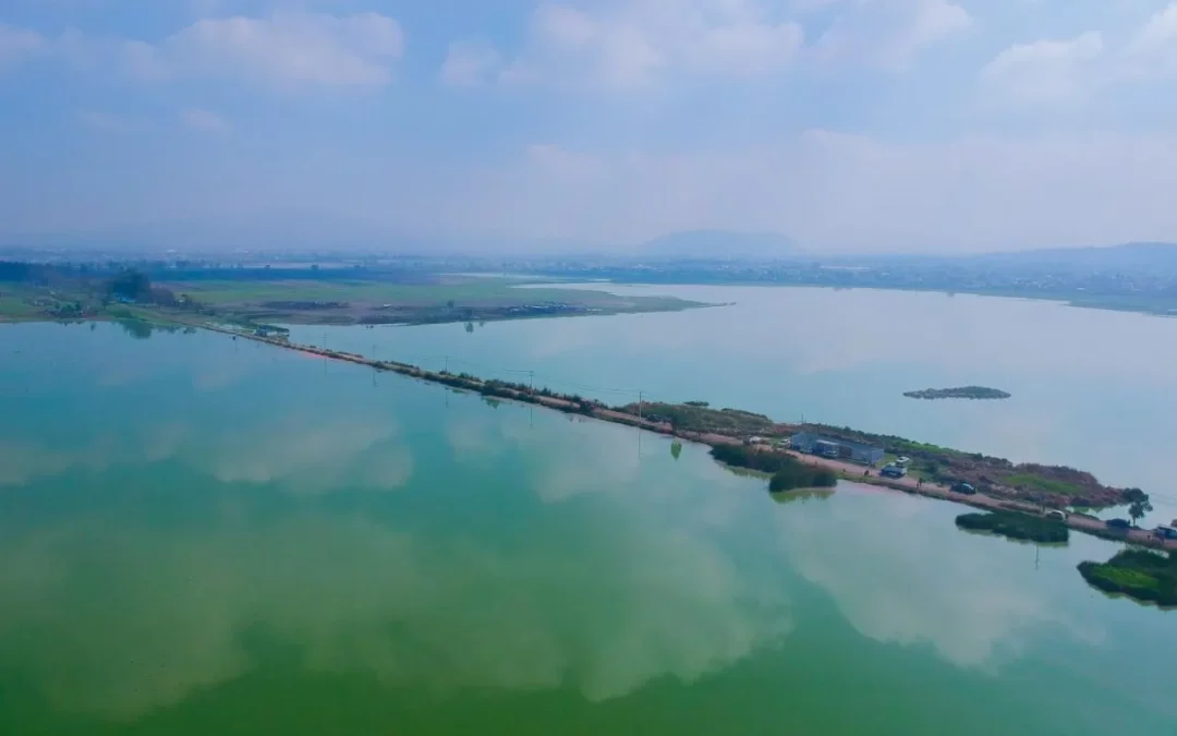 Declaran lago Tláhuac-Xico Área Natural Protegida