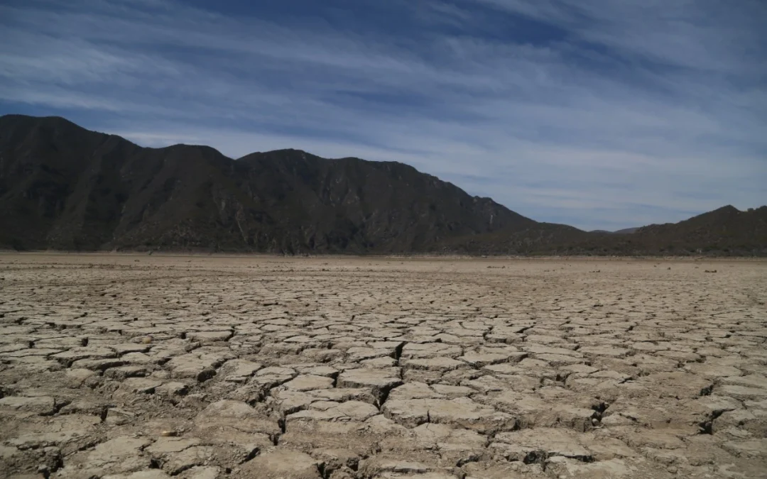 Inicia 2024 con mayor sequía en entidades de la república