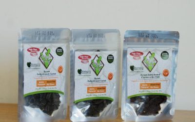 Marca poblana exportará nopal deshidratado a Estados Unidos
