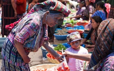 En estas entidades pueblos indígenas son víctimas del desplazamiento forzado