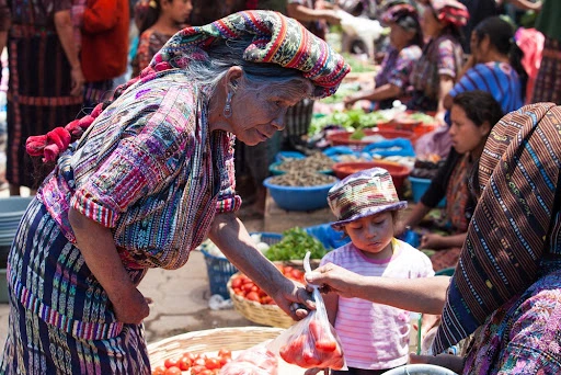 En estas entidades pueblos indígenas son víctimas del desplazamiento forzado