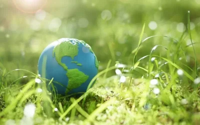 Guanajuato, Puebla y Veracruz: Gobiernos locales comprometidos con el medio ambiente