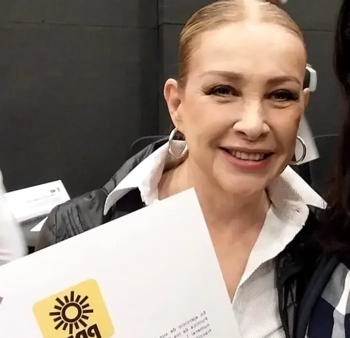 Gabriela Sodi declina contender por diputación federal del PRD por amenazas