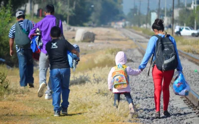 Estrategias de empleo de la iniciativa privada y del gobierno para refugiados en México