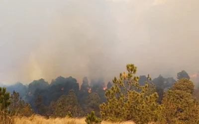 Entidades del país más afectadas por incendios forestales: Conafor