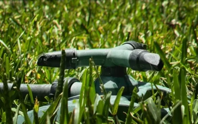 Ceagua propone medidas para el uso del agua ante la temporada de estiaje en Morelos
