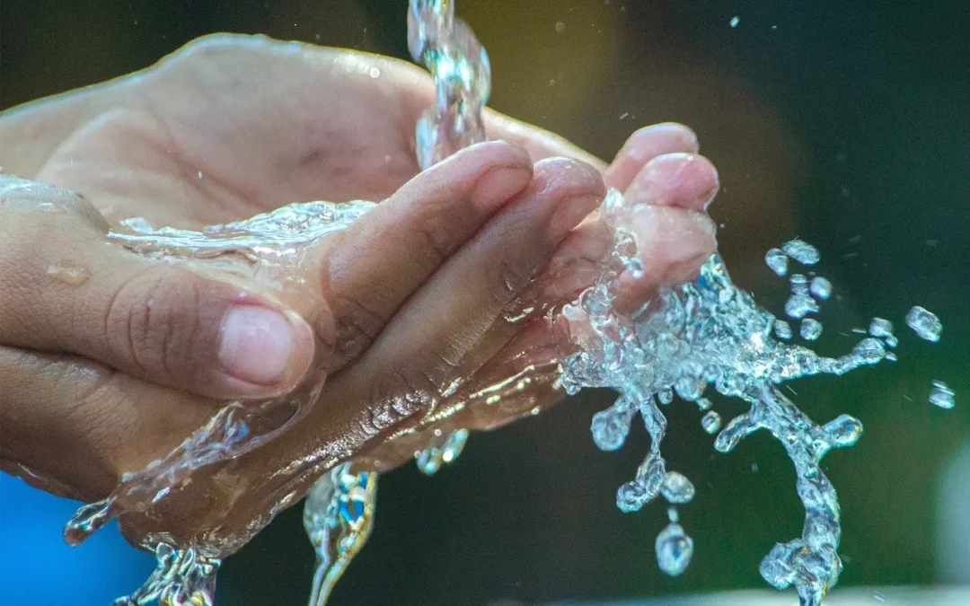 Urgen trabajo en conjunto ciudadanía, gobierno e IP para el cuidado del agua