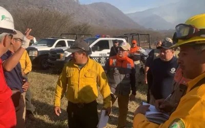 Seis incendios forestales siguen activos en Veracruz