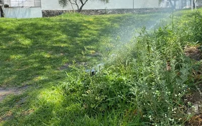 Estas son las recomendaciones del Gobierno de Aguascalientes para la temporada de calor