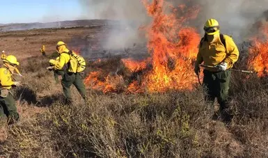 69 incendios forestales siguen activos en México: Conafor