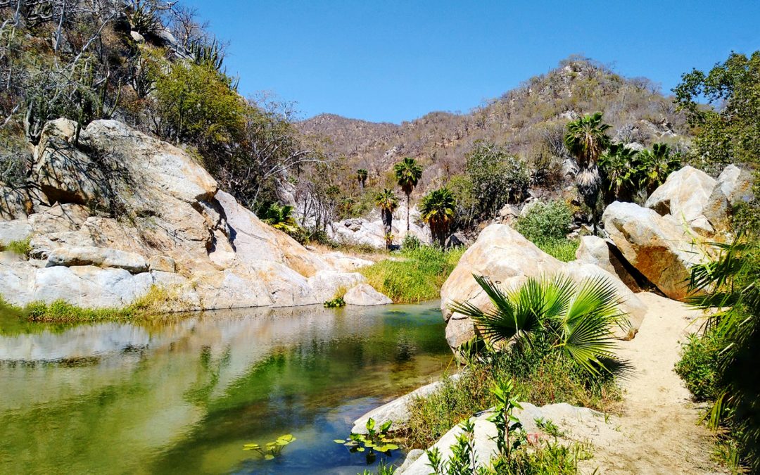 Derecho al paisaje