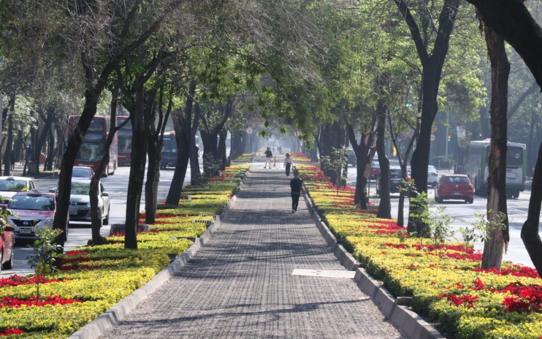 Mejores calles para lograr ciudades más sostenibles: ITDP