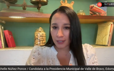 Queremos continuar con los proyectos que han mejorado la vida de las y los vallesanos: Michelle Núñez