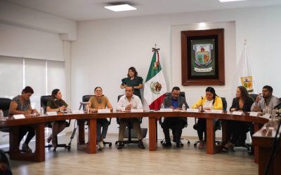 Variabilidad en los diseños institucionales de los ayuntamientos en México