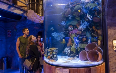 En Monterrey, inauguran acuario Sealand