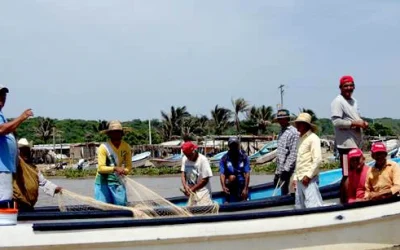 Veracruz, quinto lugar nacional en producción pesquera: CONAPESCA