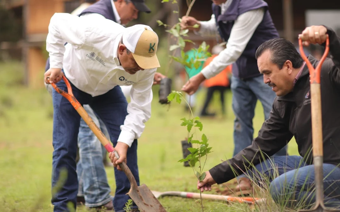 Sedea promueve reforestación en San Joaquín, Querétaro