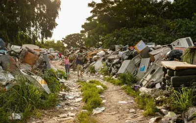 Cómo afecta lo digital al medio ambiente: UNCTAD