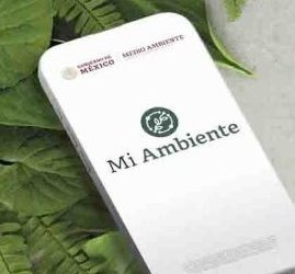 Semarnat facilita el acceso a la información ambiental con App “Mi Ambiente”