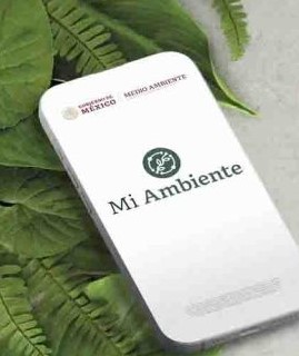 Semarnat facilita el acceso a la información ambiental con App “Mi Ambiente”