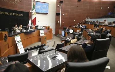 Seguridad nacional, no se logró en este sexenio: Álvarez Icaza