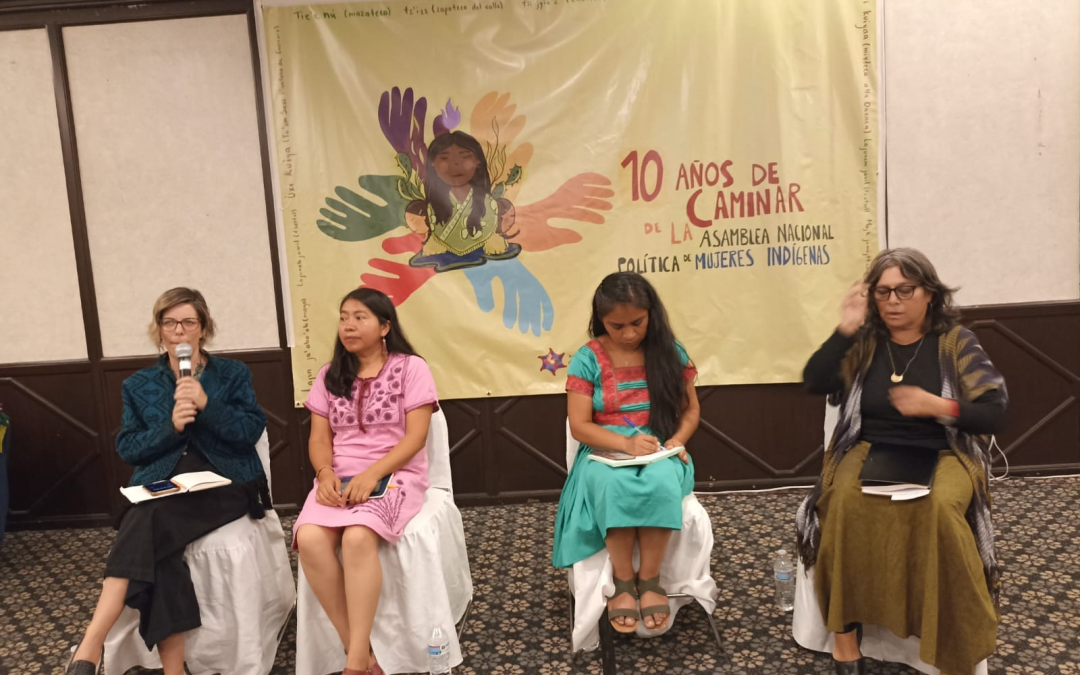 Anmpi demanda políticas públicas justas a Sheinbaum para mujeres indígenas