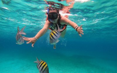 Descubriendo las aguas cristalinas de Cozumel
