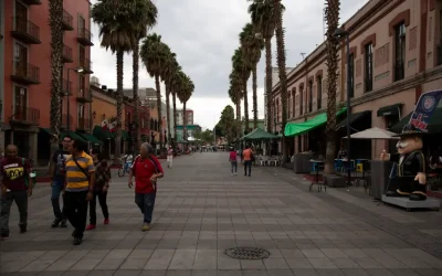 Proyecto de políticas públicas para las personas trabajadoras en Plaza Garibaldi: WIEGO México