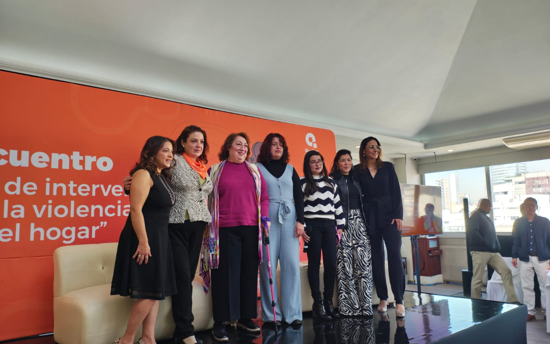 Redes de mujeres para atender la violencia doméstica