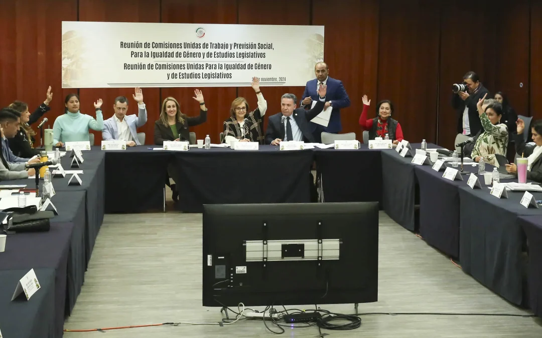 Avanzan en el Senado proyectos para garantizar medidas de protección a mujeres