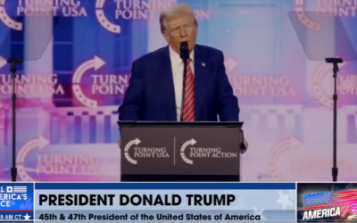 Donald Trump designará a los cárteles mexicanos como terroristas; Sheinbaum responde: “Nunca nos vamos a subordinar”