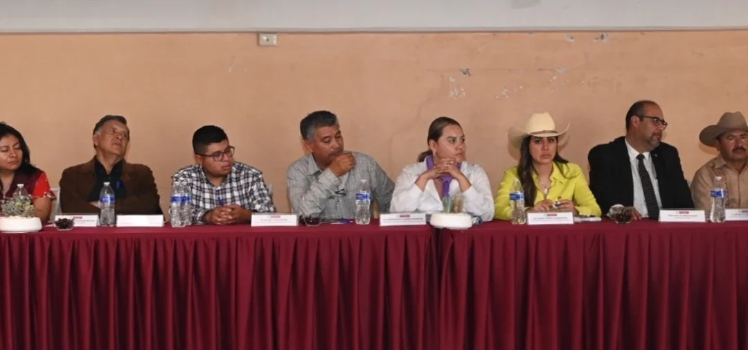 Diputados piden frenar tala clandestina en Tequixquiac