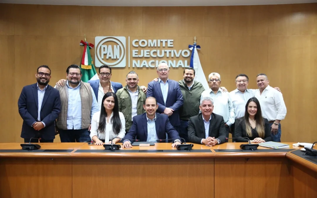 PAN anuncia candidatos para las elecciones de Veracruz 