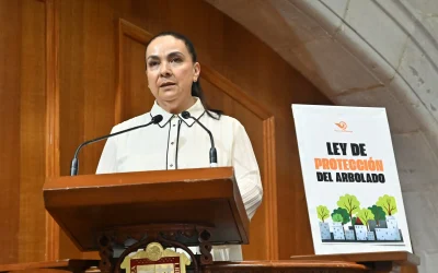 Plantean sanciones de más de 500 mil pesos por derribo de árboles en Edomex