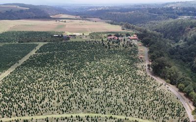 Puebla anuncia inversión para el rescate del río Atoyac 
