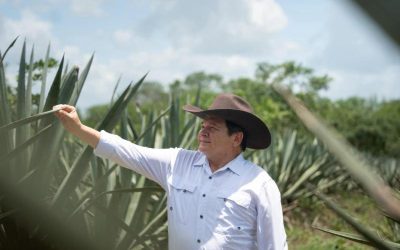 En Yucatán, destinan más de 3.8 mdp para el rescate de la actividad henequenera