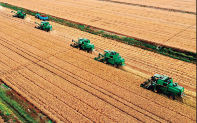 México avanza como referente regional en estrategias de desarrollo productivo sostenible