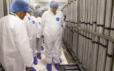 México invierte 30 mdd en planta de moscas contra gusano barrenador