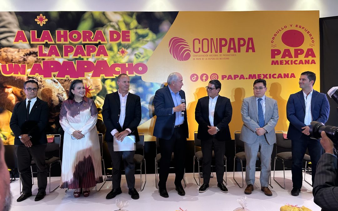 Productores de papa impulsan consumo para el desarrollo de la economía local