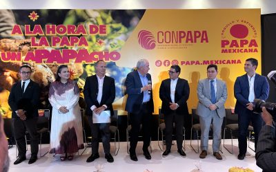 Productores de papa impulsan consumo para el desarrollo de la economía local
