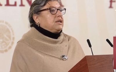 Renuncia Teresa Reyes de la Comisión Nacional de Búsqueda