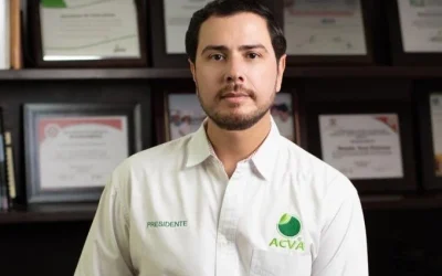 Asesinan a líder de productores de limón en Michoacán
