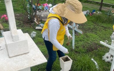 Servicios y falta de espacios en panteones, preocupación de los municipios