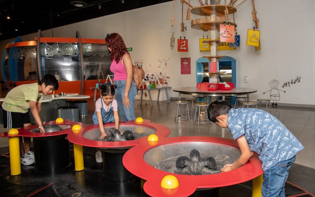 Papalote Cuernavaca; más que un museo, es una herramienta educativa y de desarrollo social